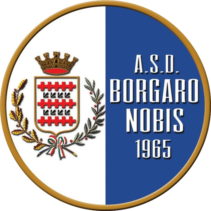 Borgaro